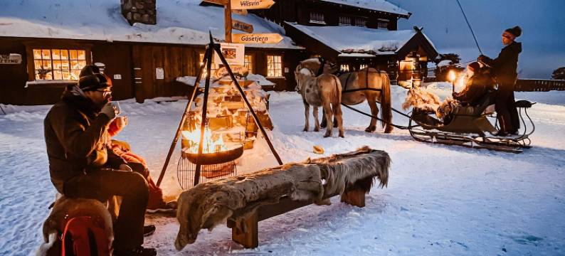 朗德拉格自然公园酒店(Langedrag Naturpark)图片