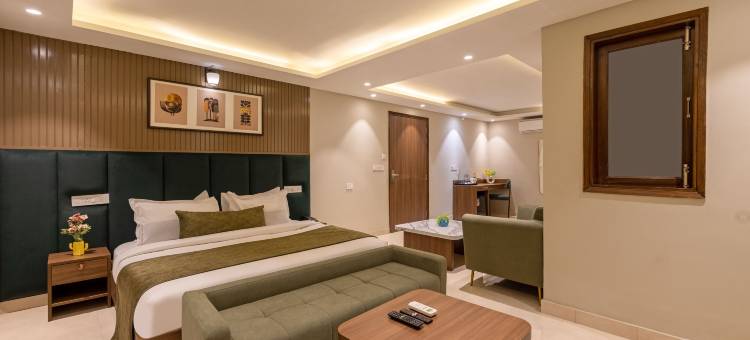 盐住高级酒店 - 西维哈尔(Saltstayz Premier - Paschim Vihar)图片