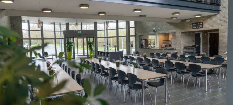 ICV安枕无忧旅舍(Icv SleepWell)图片