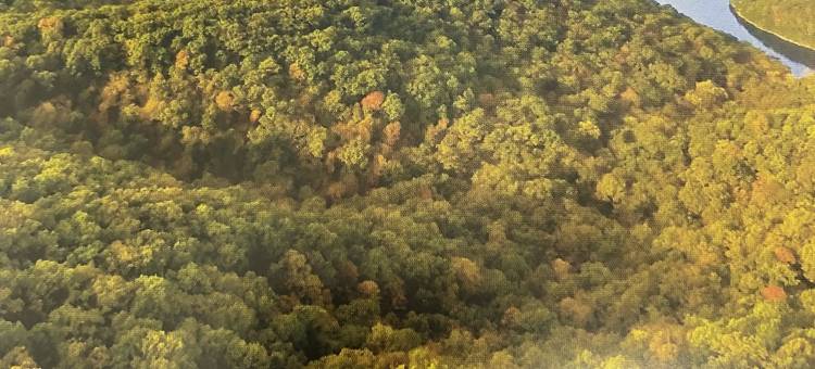 施密特溪酒店(Schmidt's Creek Hotel)图片