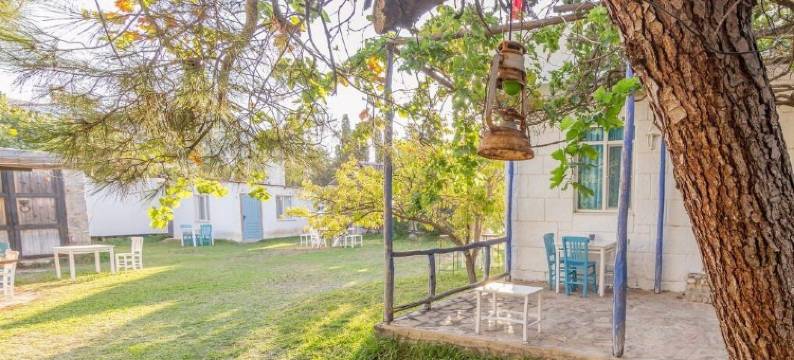 泽伊廷膳宿公寓帕拉穆特布库(Zeytin Pansiyon Palamutbükü)图片