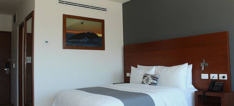 卡波之阳酒店(Gamma Los Cabos)图片