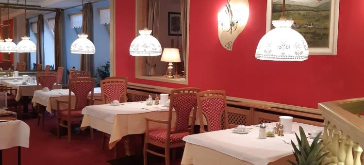舍德勒的狮子酒店加尔尼(Schedlers Löwenhotel-Garni)图片