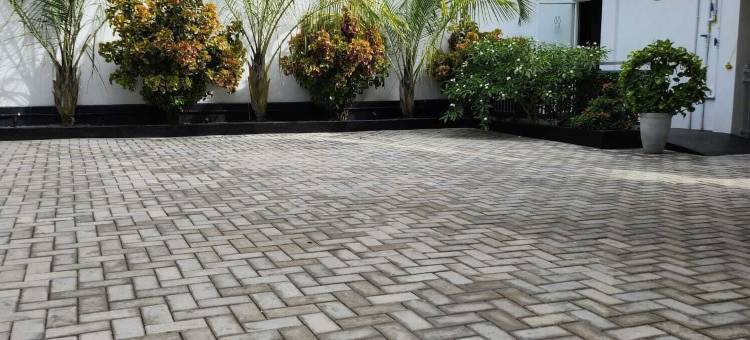 印楝树之家(Neem Tree House, Trincomalee)图片