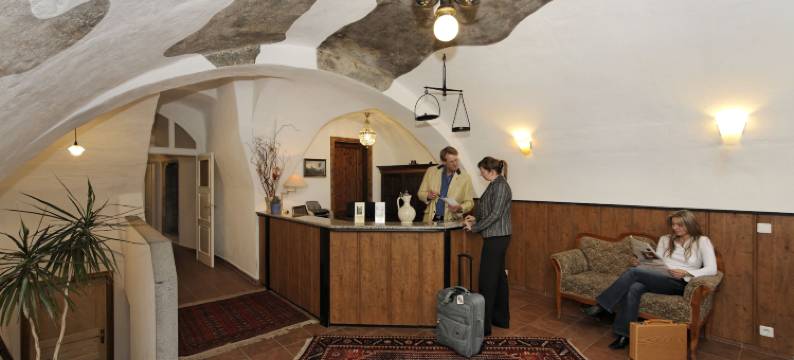 康维斯酒店(Hotel Garni Konvice)图片