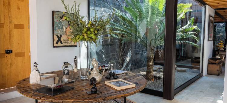 卡门索洛特尔之家(Casa Carmen Xólotl)图片