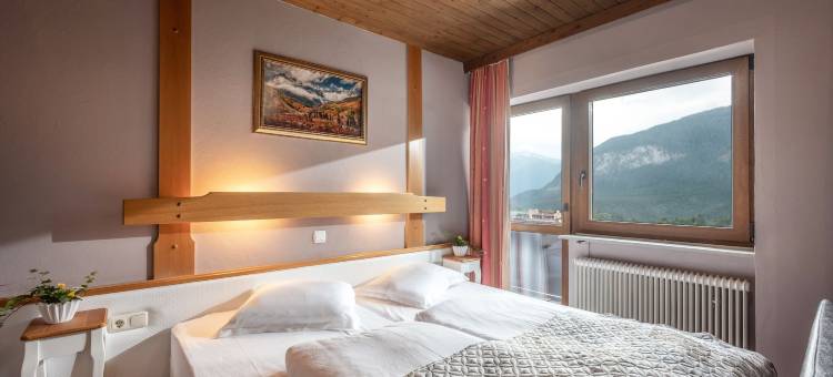 爱德维斯高山酒店(Alpenhotel Edelweiss)图片