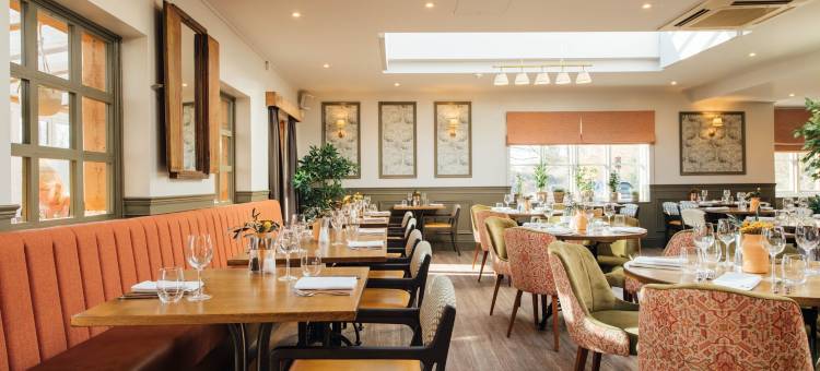 威廉的狐狸(The Fox at Willian)图片