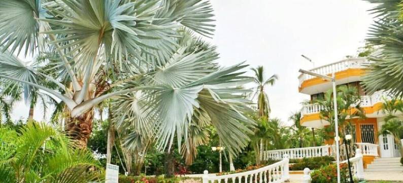 生态酒店玛莎别墅(Eco Hotel Villa Martha)图片