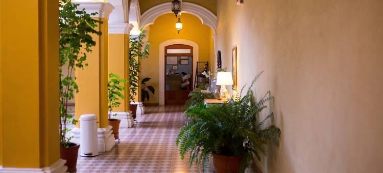 唐豪尔赫卡索纳酒店(Hotel la Casona de Don Jorge)图片