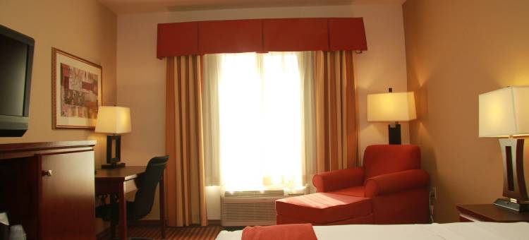 智选假日套房酒店阿马里洛南(Holiday Inn Express & Suites Amarillo South)图片