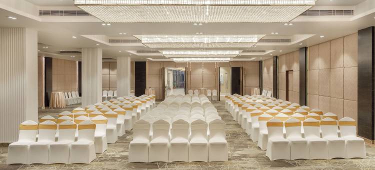 皇家郁金香加德满都(Royal Tulip Kathmandu)图片