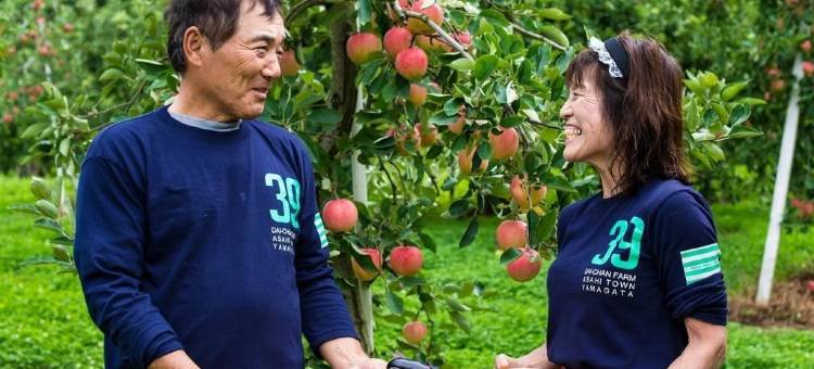 代昌农场旅馆(Daichan Farm Guest House)图片