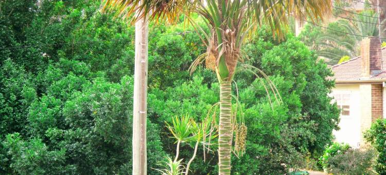 戈斯福德棕榈莫泰旅馆(Gosford Palms Motor Inn)图片