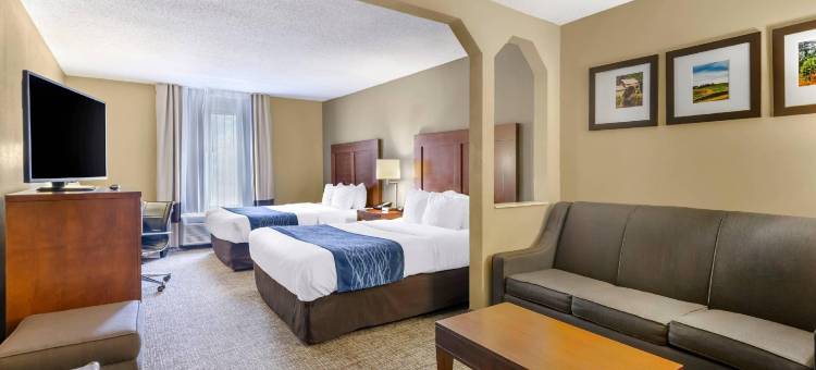 克里斯琴斯堡 I-81 舒适套房酒店(Comfort Inn & Suites Christiansburg I-81)图片