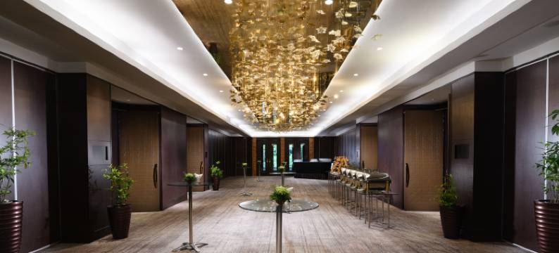 科伦坡希尔顿酒店式公寓(Hilton Colombo Residence)图片