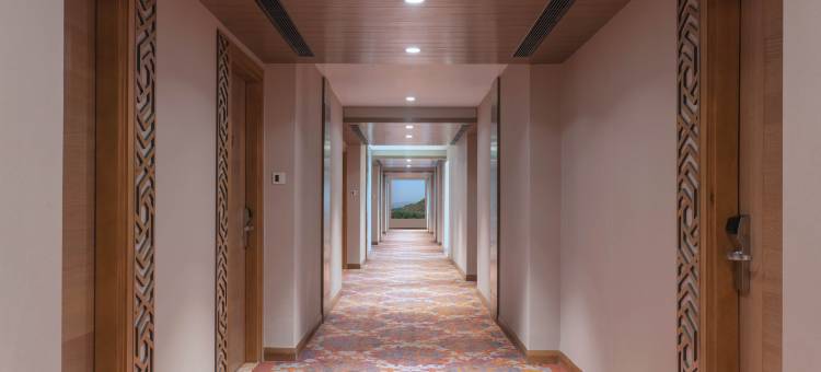 齐普尔阿梅尔希尔顿逸林酒店(DoubleTree by Hilton Jaipur Amer)图片