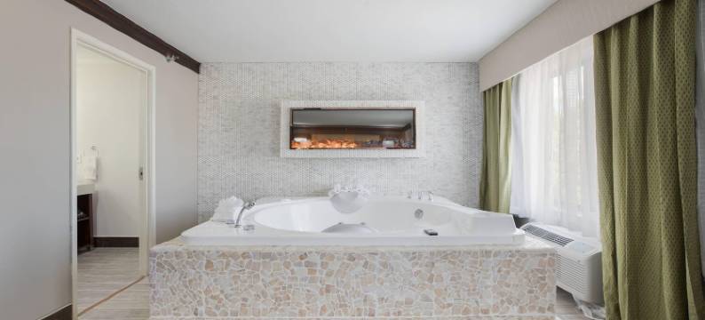 利奥底特律精选酒店, 凯悦臻选酒店(The Leo Collection Detroit, Ascend Hotel Collection)图片