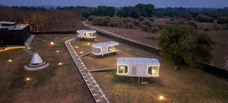 Zuper的星空爱好者(Astrophile By Zuper)图片