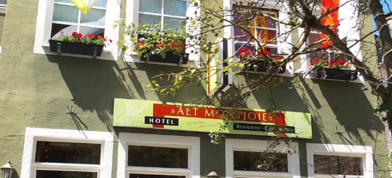 阿尔特蒙特约酒店(Hotel Alt Montjoie)图片