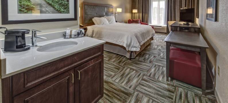 希尔顿欢朋酒店-纽伯里歌剧院(Hampton Inn Newberry-Opera House)图片