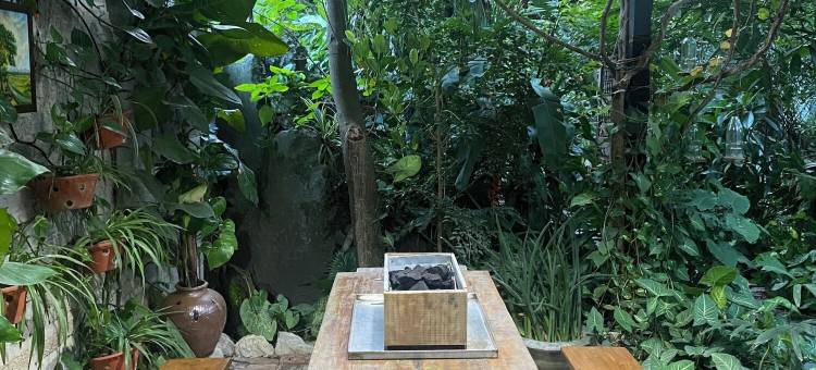 呼啦家庭旅馆(Nha lua homestay)图片