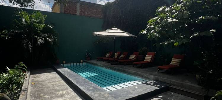 Ginger banana 青年旅舍(Ginger Banana Hostel)图片