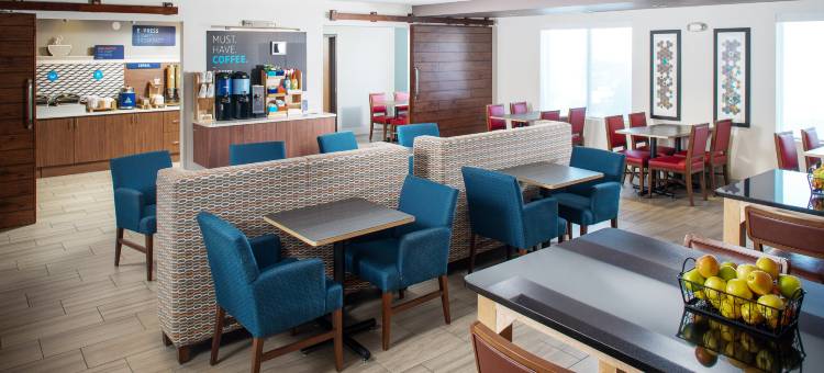 智选假日套房酒店贝尔维尤(奥马哈面积)(Holiday Inn Express & Suites Bellevue (Omaha Area))图片