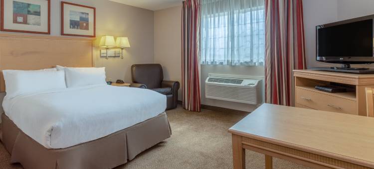 Candlewood Suites 迈诺特 by IHG(Candlewood Suites Minot)图片