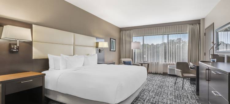 威廉斯堡希尔顿逸林酒店(DoubleTree by Hilton Williamsburg)图片