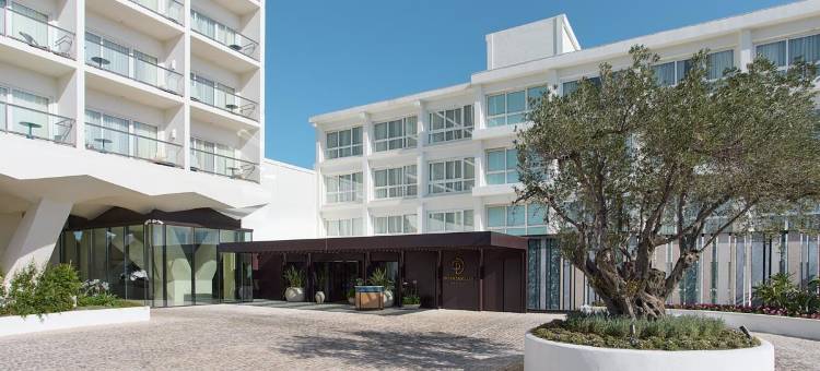 唐卡尔洛斯水疗度假村(Don Carlos Marbella)图片