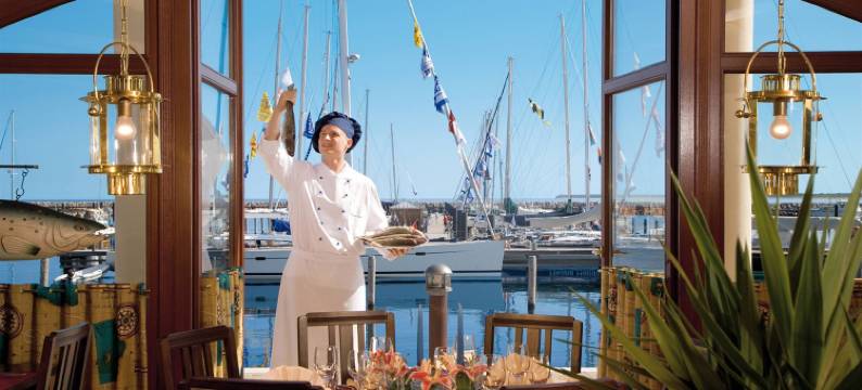 由高沙丘提王宫酒店(Yachthafenresidenz Hohe Düne)图片