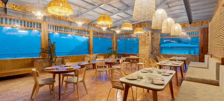 环游世界(Over The World)图片