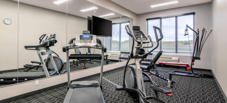 舒适套房酒店(Comfort Inn & Suites)图片