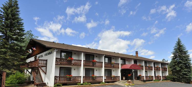 维也纳酒店(Hotel Vienna)图片