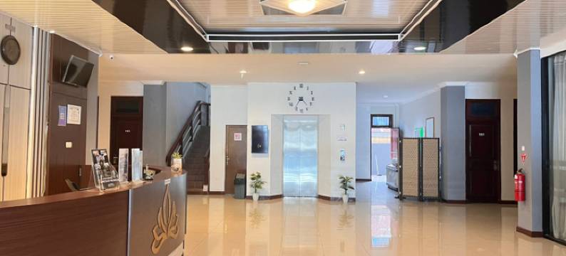 梳罗克尊贵酒店(Solok Premier Hotel)图片