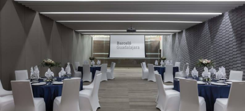 巴塞罗那-瓜达拉哈拉(Barcelo Guadalajara)图片