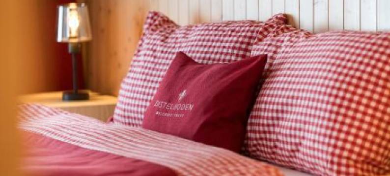 迪斯特尔博登贝格酒店(Berghotel Distelboden)图片