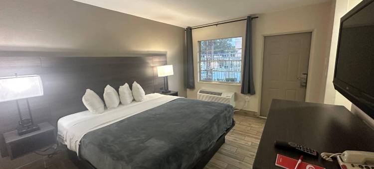 圣彼得斯堡伊克诺旅馆(Econo Lodge St Petersburg Central)图片