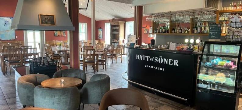 阿达克罗格酒店及会议中心(Trosa Åda Krog Hotell & Konferens)图片