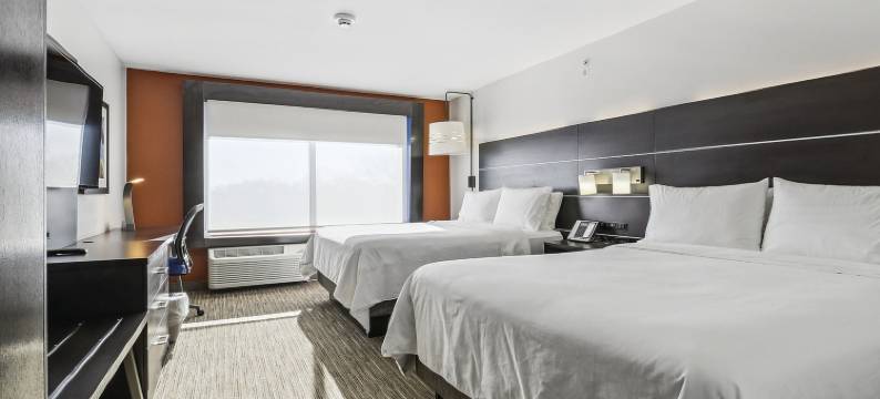 本森维尔-奥黑尔智选假日套房酒店(Holiday Inn Express & Suites BENSENVILLE - O'HARE by IHG)图片