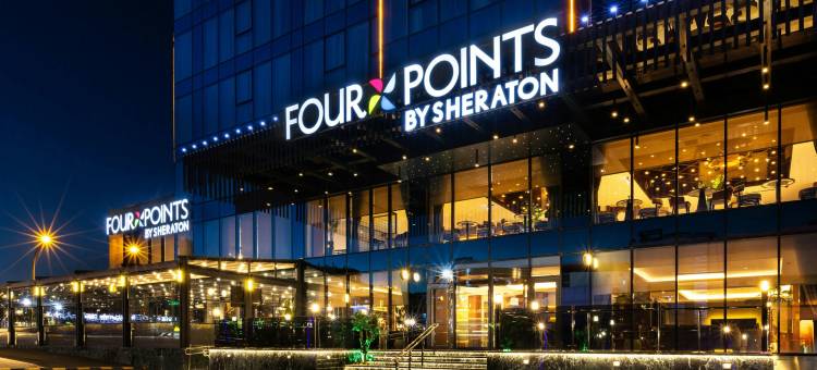 迪亚巴克尔福朋喜来登酒店(Four Points by Sheraton Diyarbakir)图片