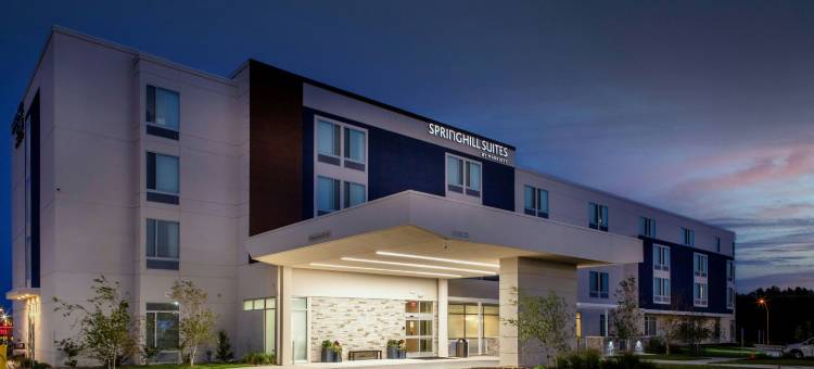 堪萨斯城机场SpringHill Suites酒店(SpringHill Suites Kansas City Airport)图片
