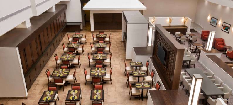 巴尔的摩华盛顿国际机场希尔顿大使套房酒店(Embassy Suites by Hilton Baltimore at BWI Airport)图片