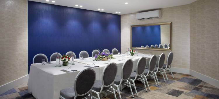 卡尔顿特拉维夫酒店-海滩豪华型(The Carlton Tel Aviv)图片