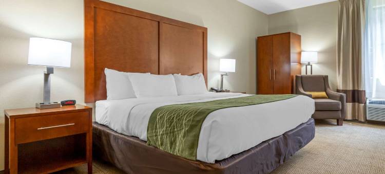 勒努瓦高速公路321号北山麓舒适套房酒店(Comfort Inn & Suites Lenoir Hwy 321 Northern Foothills)图片