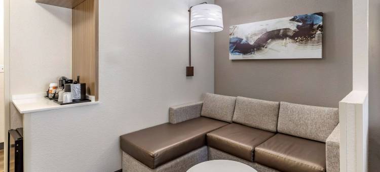 安德森舒适全套房酒店(Comfort Suites Anderson-Clemson)图片