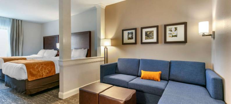 舒适套房(Comfort Suites North Tupelo)图片