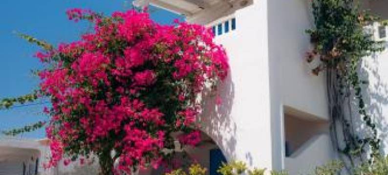 波席提开放式客房(Pothiti Studios)图片