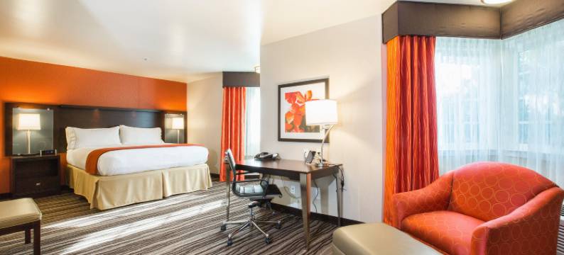 南帕洛阿尔托山景智选假日酒店(Holiday Inn Express MOUNTAIN VIEW - S PALO ALTO by IHG)图片